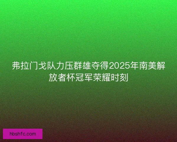 弗拉门戈队力压群雄夺得2025年南美解放者杯冠军荣耀时刻
